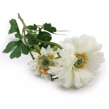 HY125-72023 Гербера, 60см (B Белый)