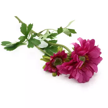 HY125-72023 Гербера, 60см (F Фуксия)