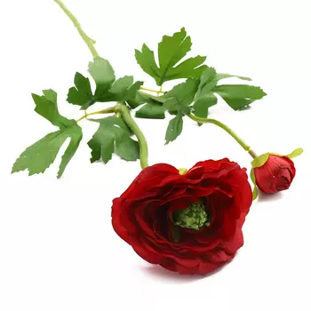 HY125-72026 Ранункулюс, 60см (B Красный)