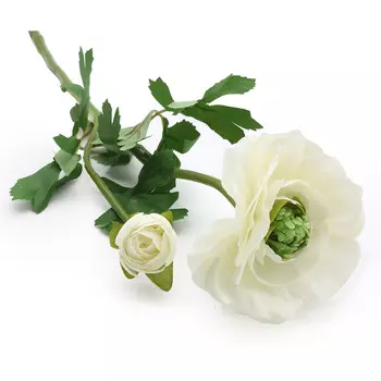 HY125-72026 Ранункулюс, 60см (D Белый)
