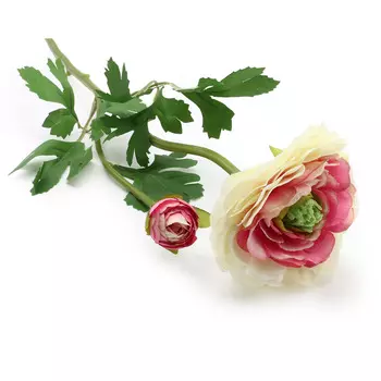 HY125-72026 Ранункулюс, 60см (F Белый с розовым)