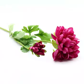 HY125-72047 Георгины (цветок и бутон), 60см (C Красно-фиолетовый)