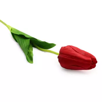 HY125-74002 Тюльпан, 62см (E Красный)