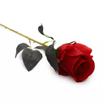 HY125-81011 Роза, 55см (A Красный)