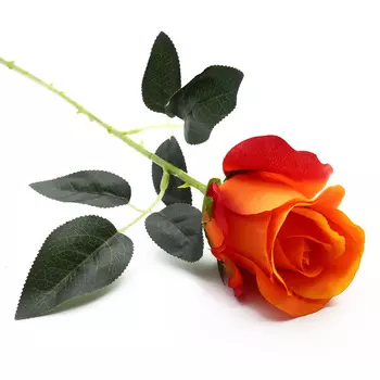 HY125-81011 Роза, 55см (F Оранжевый)