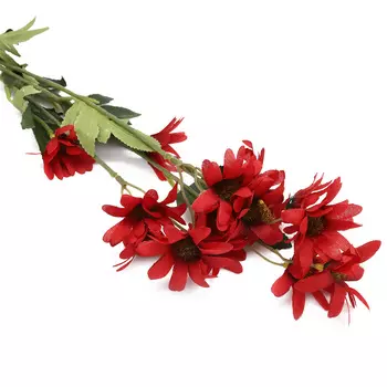 HY126-12002 Маргаритки, 65см (A Бордо)