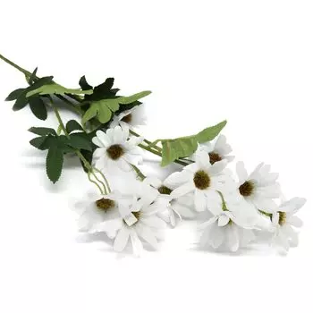 HY126-12002 Маргаритки, 65см (B Белая)