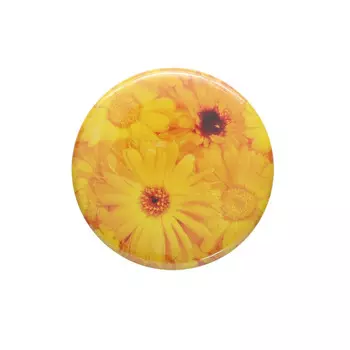 ИГ-20 Магнитная игольница 'Герберы' 25*3мм Hobby&amp;Pro