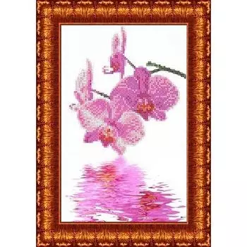КБЦ-4009 Канва с рисунком для бисера 'Орхидеи', А4