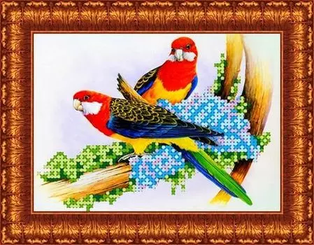КБЖ-5003 Канва с рисунком для бисера 'Попугаи', А5