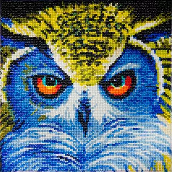 KDK001 Алмазная картина Color KIT 'Взгляд совушки' 30*30 см