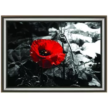 КС1013 Набор для изготовления картины со стразами Crystal Art Алые лепестки