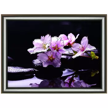 КС1073 Набор для изготовления картины со стразами Crystal Art Отражение красоты