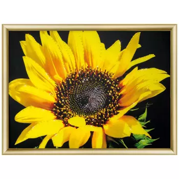 КС161 Набор для изготовления картины со стразами 'Солнечный цветок' 30,3*42 см