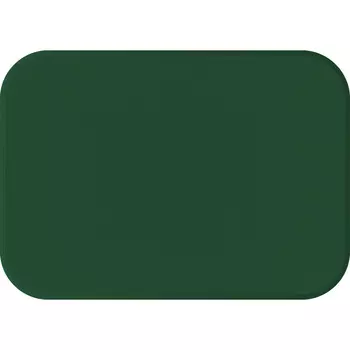 LAMARKTC0020 Покрытие на стол для труда, 50х35 см, цвет зеленый