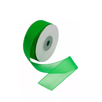 Лента капроновая 2,5см*22,86м (99 ярко-зеленый)