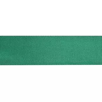 Лента репсовая 2,5см*25м (587 зеленый)