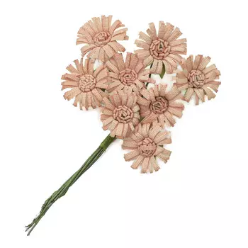 Маргаритки из бумаги, упак./8 шт., SCB (SCB281402 персиковые)