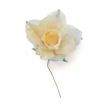 MH1-249 Набор декоративных цветов D=5,5*2,5см, 4шт, Astra&amp;Craft (F237 шампань)