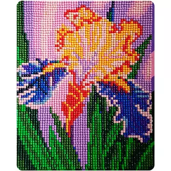 MP010 Алмазная картина Колор Кит 'Прекрасный ирис'17*21см