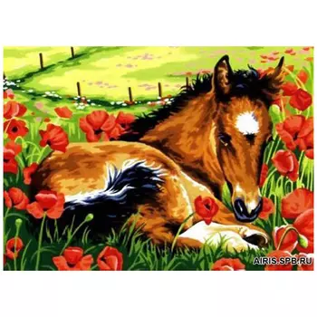 MRC1531-361 Канва с рисунком MARGOT 'Жеребенок' 40*50 см