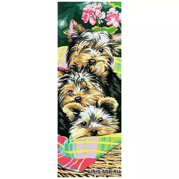 MRC62-199 Канва с рисунком MARGOT 'Йоркширский терьер' 25*60 см