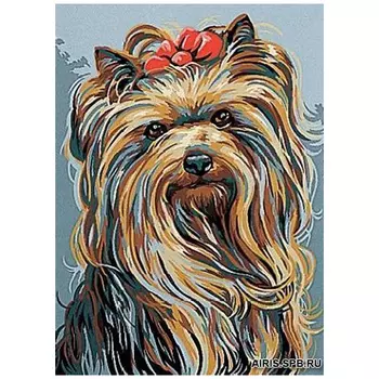 MRC722-055 Канва с рисунком MARGOT 'Йоркширский терьер' 30*40 см