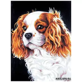 MRC722-262 Канва с рисунком MARGOT 'Леди' 30*40 см