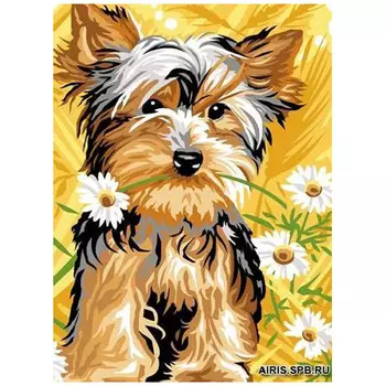 MRC722-291 Канва с рисунком MARGOT 'Подарю ромашку' 30*40 см