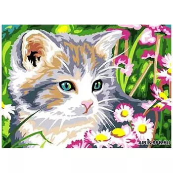 MRC722-318 Канва с рисунком MARGOT 'Котенок' 30*40 см