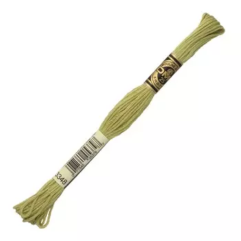 Мулине DMC 117 (3348)