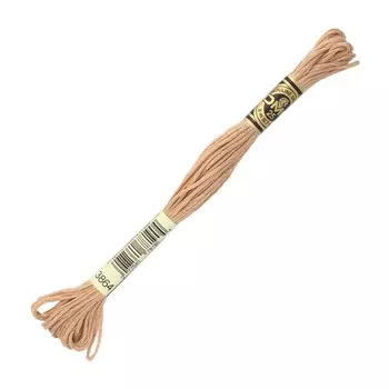 Мулине DMC 117 (3864)