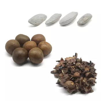 Набор декоративных натуральных элементов (плод архата, цветоножки хурмы, орехи)