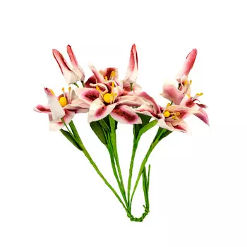 Набор лилии с бутоном, 5шт SCB2903 (01 красно-белые)