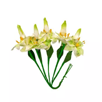 Набор лилии с бутоном, 5шт SCB2903 (03 светло-зеленые)