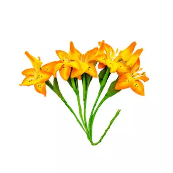 Набор лилии с бутоном, 5шт SCB2903 (04 розово-оранжевые)