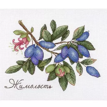 НВ-648 Набор для вышивания МП Студия 'Дары природы. Жимолость' 15х20см