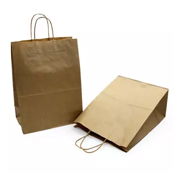 Пакет бумажный с ручкой ECO CarrBag 260*150*350