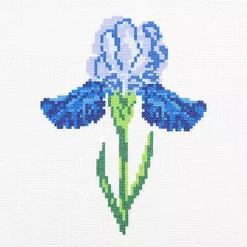 ПК-178 Набор (рис/канв.мулине) Hobby&amp;Pro 'Ирис' 22*22см