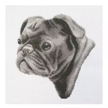 ПК-205 Набор (рис/канв. мулине) Hobby&amp;Pro 'Мопс', 33*33 см