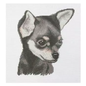 ПК-208 Набор (рис/канв. мулине) Hobby&amp;Pro 'Чихуахуа', 33*33 см