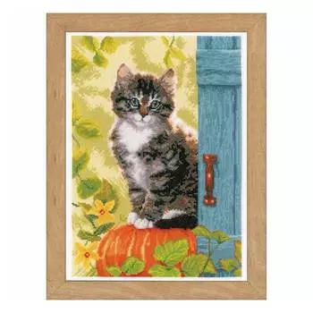 PN-0158303 Набор для вышивания Vervaco 'Кот и тыква' 25x35