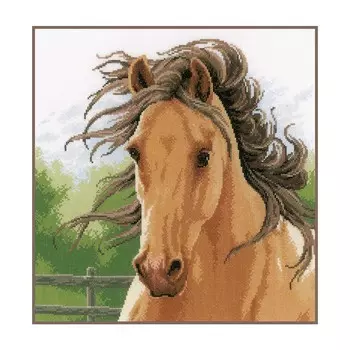 PN-0178867 Набор для вышивания LanArte 'Развевающаяся грива' 35x35