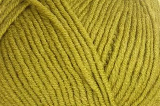 Пряжа ALIZE 'Lanagold' 100гр., 240м (49%шерсть, 51%акрил) (193 фисташка)