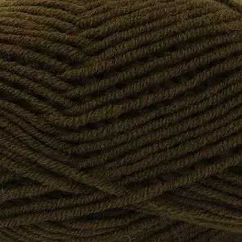 Пряжа ALIZE 'Lanagold Plus' 100гр. 140м (49% шерсть, 51% акрил) (214 оливковый зеленый)