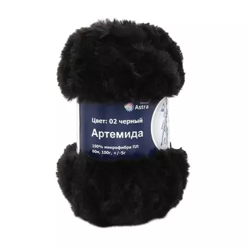 Пряжа Astra Premium 'Артемида' 100гр. 60м (100% микрофибра ПЛ) (02 черный)