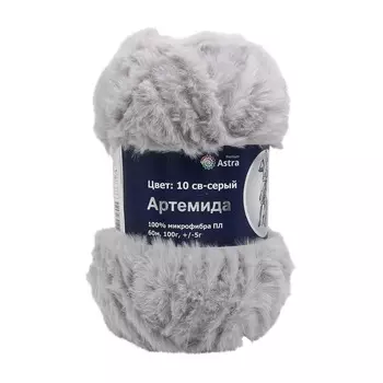 Пряжа Astra Premium 'Артемида' 100гр. 60м (100% микрофибра ПЛ) (10 св-серый)