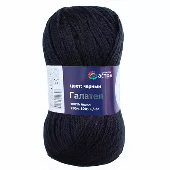 Пряжа Astra Premium 'Галатея' 100гр. 250м (100% акрил) (02 черный)