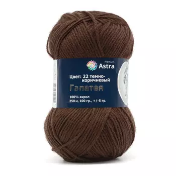 Пряжа Astra Premium 'Галатея' 100гр. 250м (100% акрил) (22 темно-коричневый)