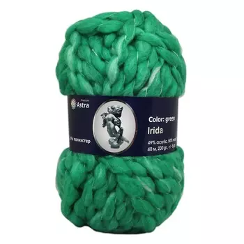 Пряжа Astra Premium 'Ирида' 200гр. 40м (50% шерсть, 49% акрил, 1% полиэстер) (6 зеленый)